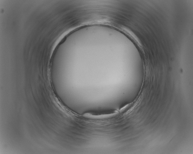 X0000072981340200608211340