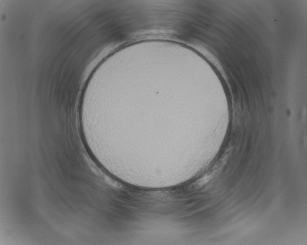 X0000072981341200608211340