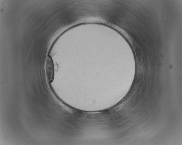 X0000072981343200608211340