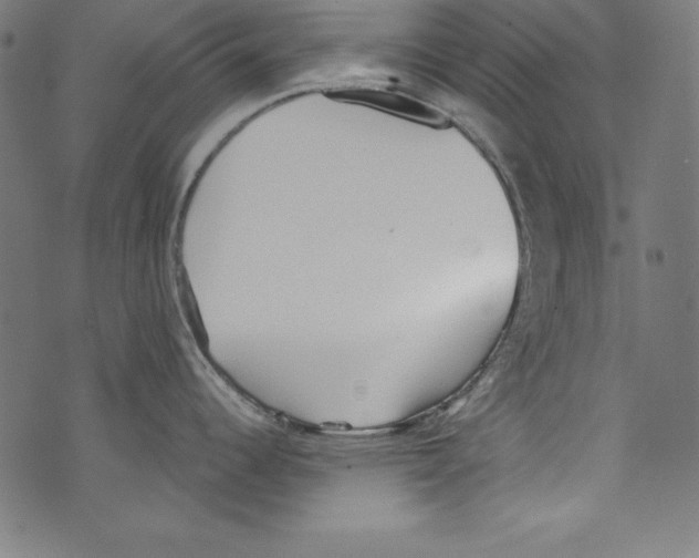 X0000072981344200608211340