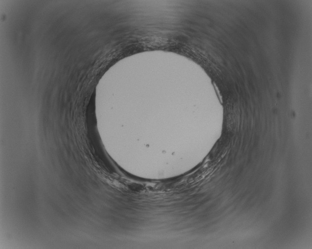 X0000072981345200608211339