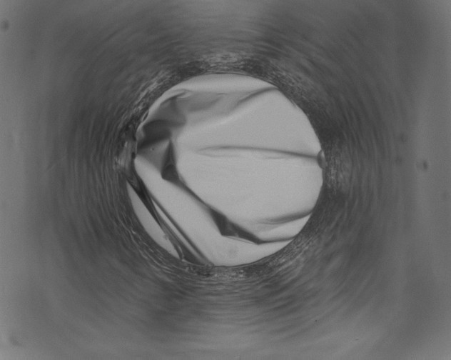 X0000072981346200608211339