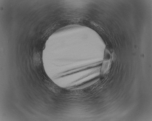 X0000072981347200608211339