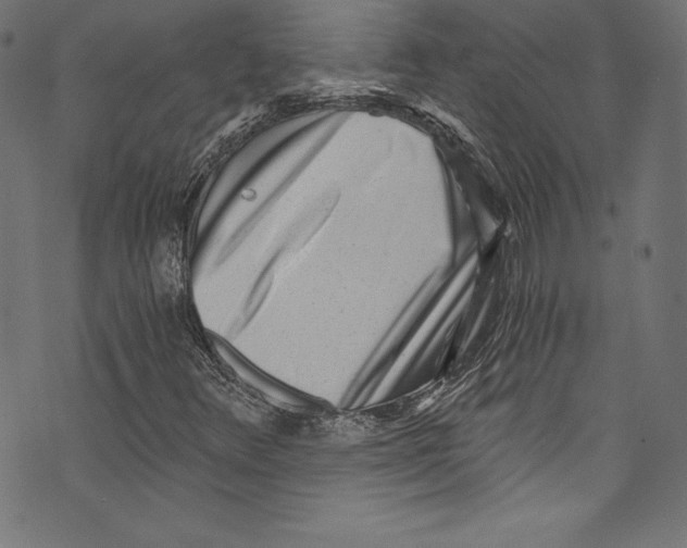 X0000072981348200608211339