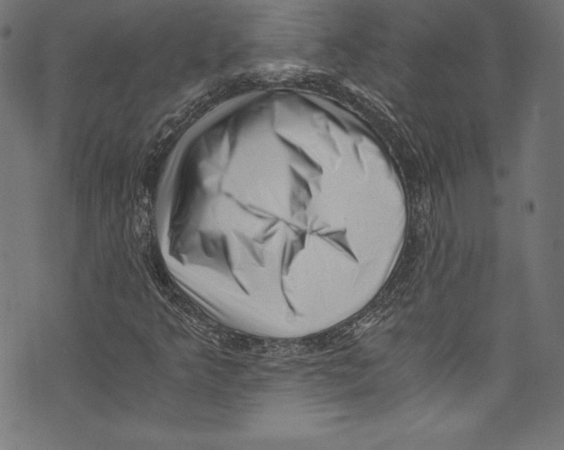 X0000072981349200608211339