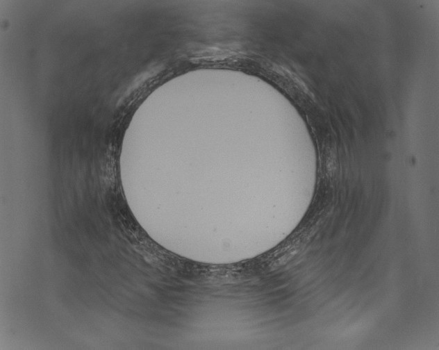 X0000072981350200608211339