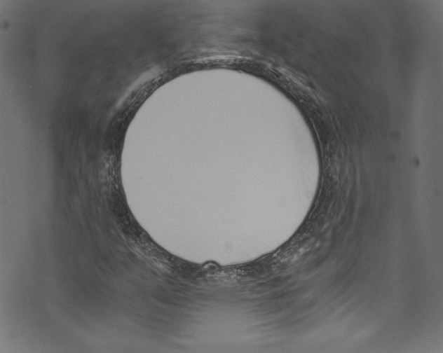 X0000072981351200608211339