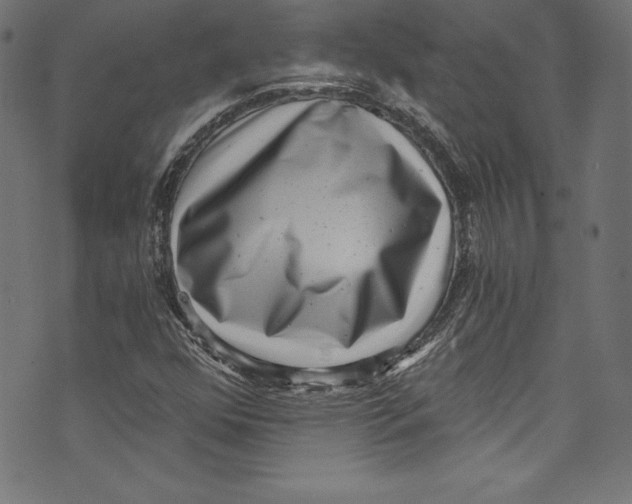 X0000072981352200608211339