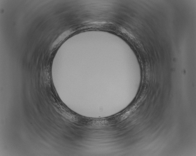 X0000072981354200608211339