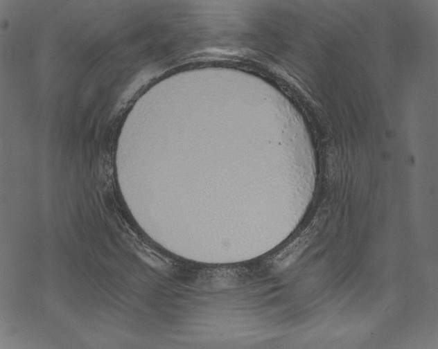 X0000072981355200608211339