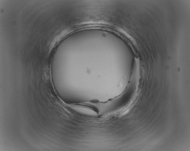 X0000072981357200608211339