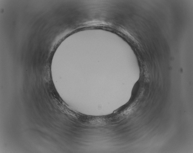 X0000072981358200608211339