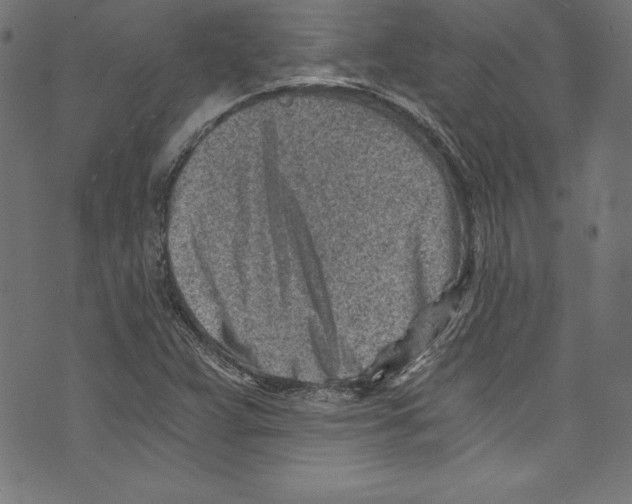 X0000072981359200608211339