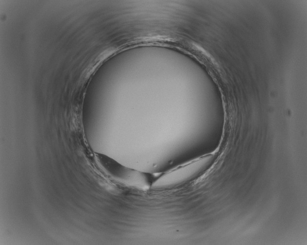 X0000072981361200608211339