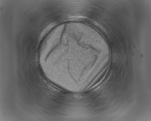 X0000072981362200608211339