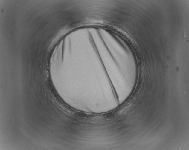 X0000072981363200608211339