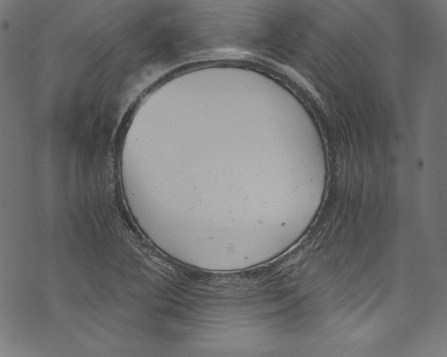 X0000072981364200608211339