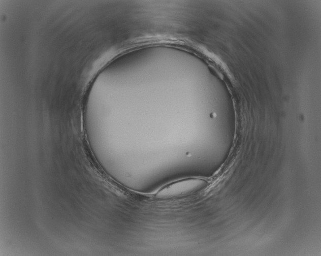 X0000072981365200608211339