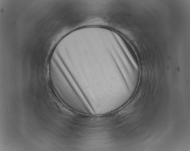 X0000072981366200608211339