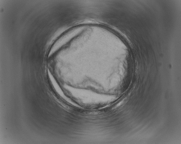 X0000072981367200608211339