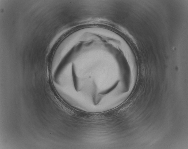 X0000072981368200608211339