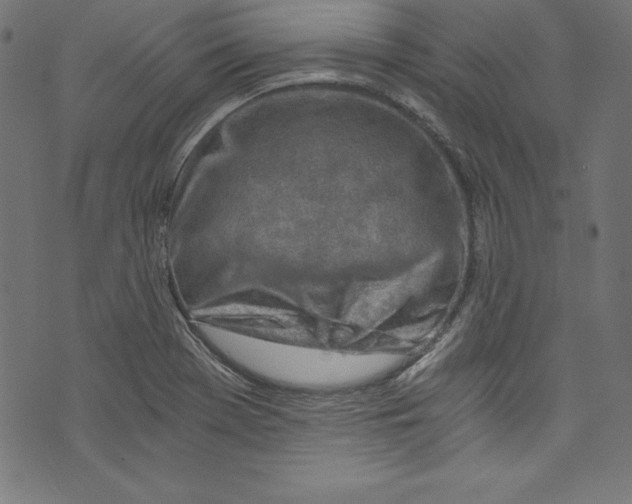 X0000072981369200608211339