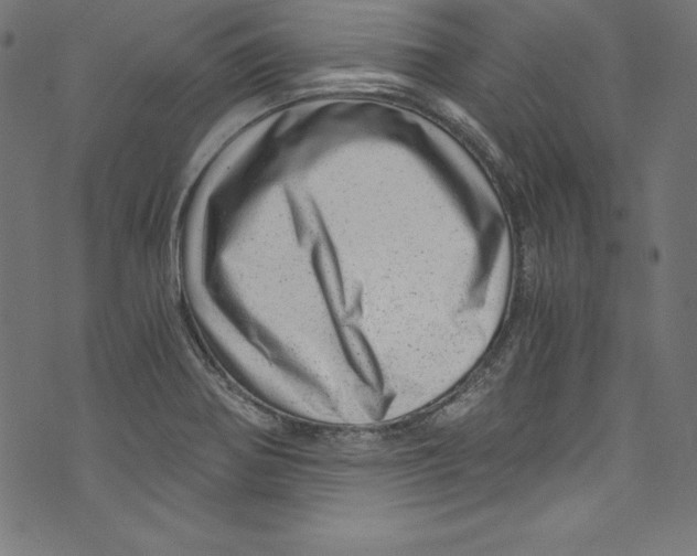 X0000072981370200608211339