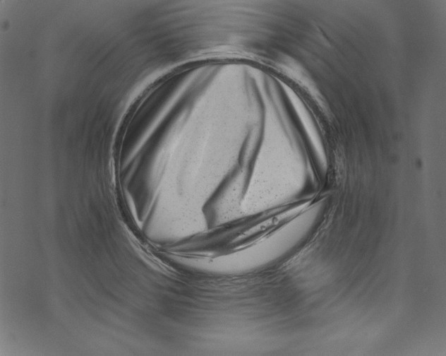 X0000072981372200608211339