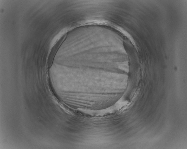 X0000072981373200608211339