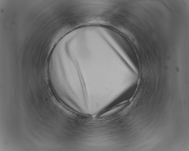 X0000072981374200608211339