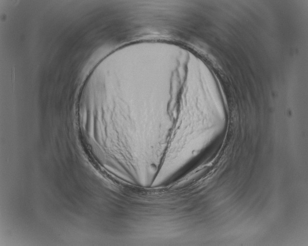 X0000072981375200608211339