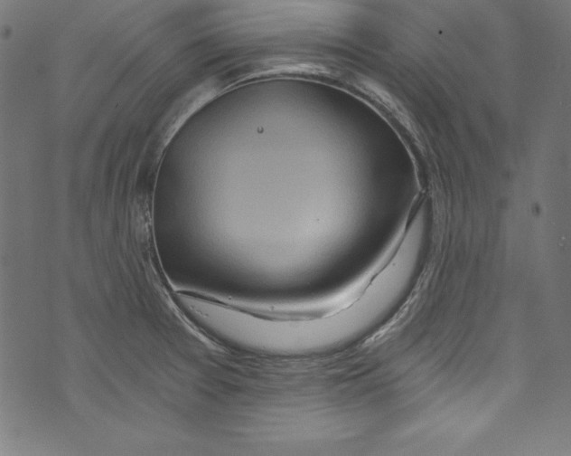 X0000072981377200608211339