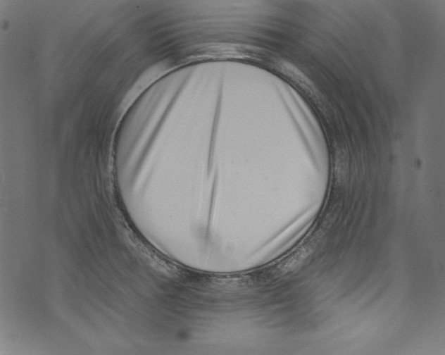 X0000072981378200608211339