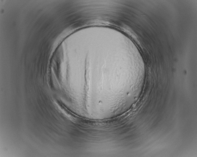 X0000072981379200608211339