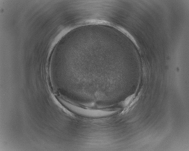 X0000072981381200608211339