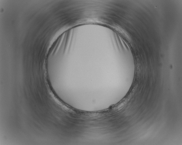 X0000072981382200608211339