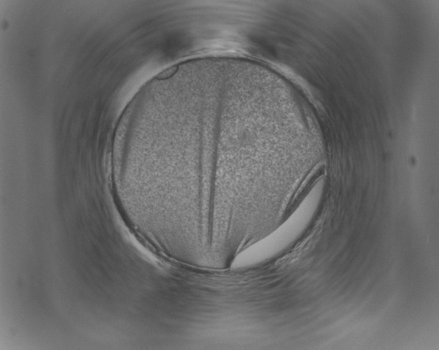 X0000072981383200608211339