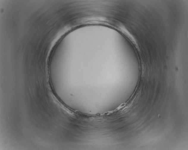 X0000072981384200608211339