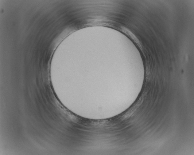 X0000072981386200608211339