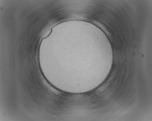 X0000072981387200608211339