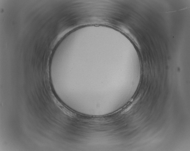 X0000072981388200608211339