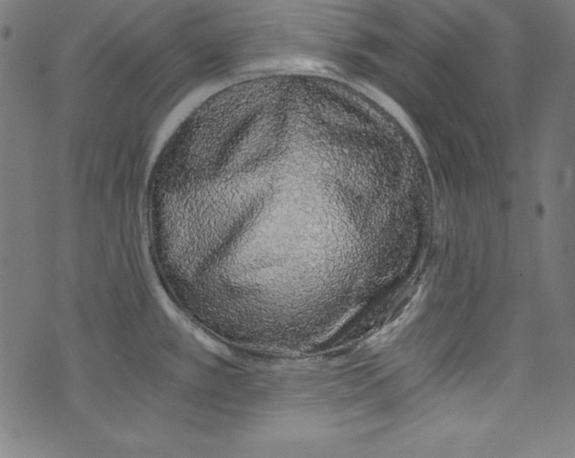 X0000072981389200608211339