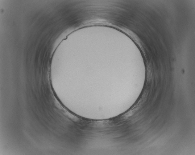 X0000072981390200608211339