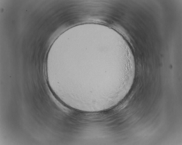 X0000072981391200608211339