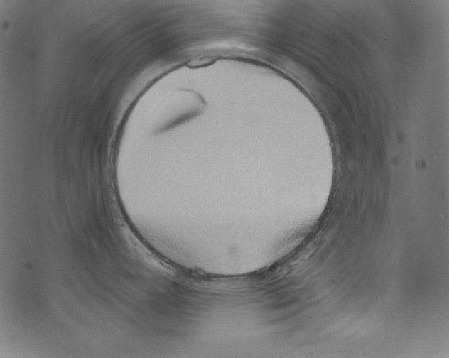 X0000072981392200608211339