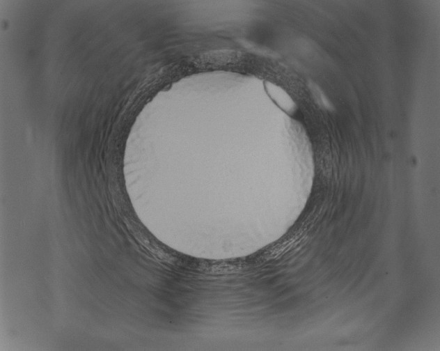 X0000072981393200608211338