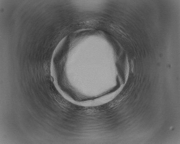 X0000072981395200608211338