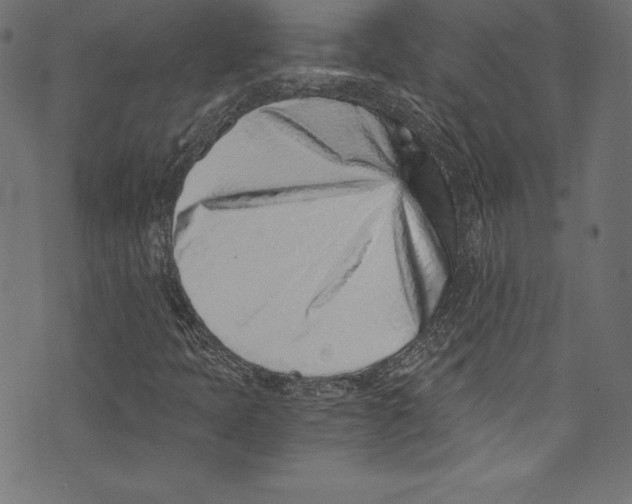 X0000072981397200608211338