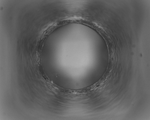 X0000072981398200608211338