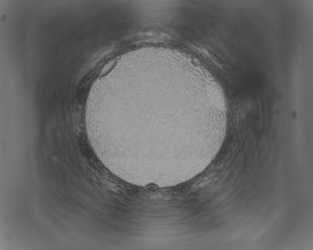 X0000072981399200608211338